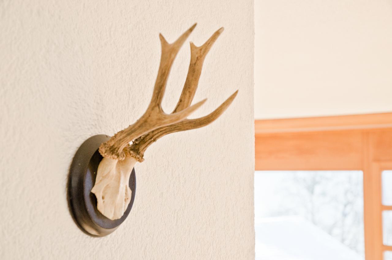 Apartment Matterhorn - Griwa Rent Ag Grindelwald Ngoại thất bức ảnh